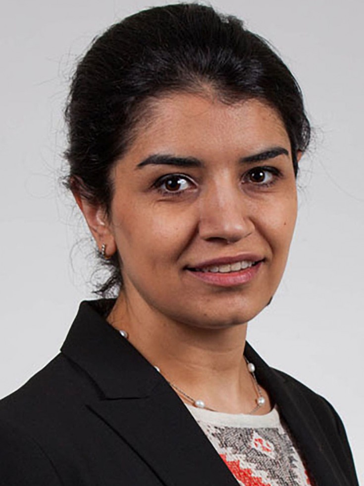 Ani Eloyan, assistant professor of biostatistics